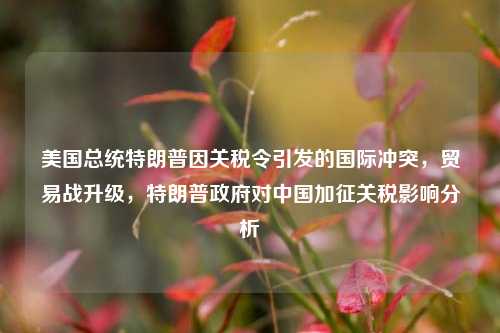 美国总统特朗普因关税令引发的国际冲突，贸易战升级，特朗普政府对中国加征关税影响分析