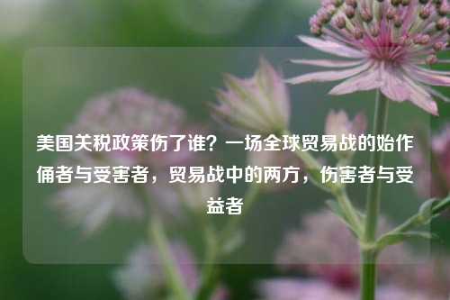美国关税政策伤了谁？一场全球贸易战的始作俑者与受害者，贸易战中的两方，伤害者与受益者