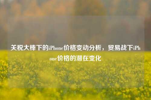 关税大棒下的iPhone价格变动分析，贸易战下iPhone价格的潜在变化