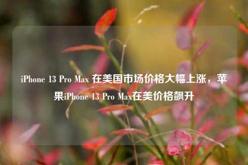 iPhone 13 Pro Max 在美国市场价格大幅上涨，苹果iPhone 13 Pro Max在美价格飙升