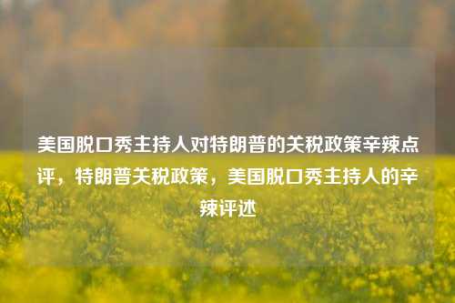 美国脱口秀主持人对特朗普的关税政策辛辣点评，特朗普关税政策，美国脱口秀主持人的辛辣评述
