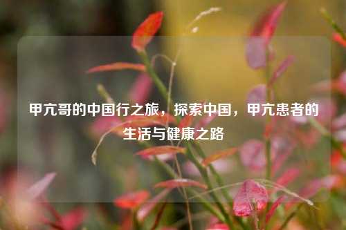 甲亢哥的中国行之旅，探索中国，甲亢患者的生活与健康之路