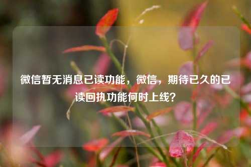 微信暂无消息已读功能，微信，期待已久的已读回执功能何时上线？
