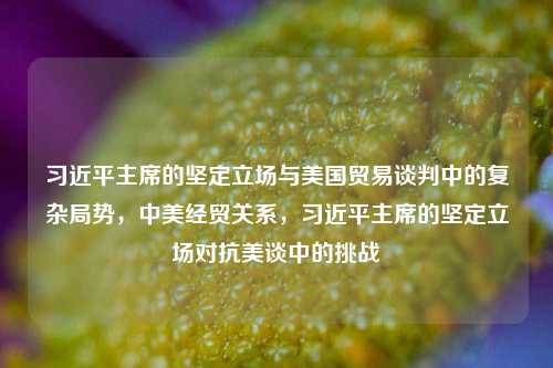 习近平主席的坚定立场与美国贸易谈判中的复杂局势，中美经贸关系，习近平主席的坚定立场对抗美谈中的挑战