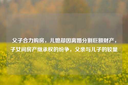 父子合力购房，儿媳却因离婚分割巨额财产，子女间房产继承权的纷争，父亲与儿子的较量
