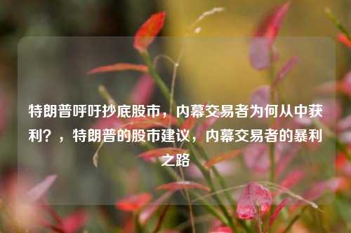 特朗普呼吁抄底股市，内幕交易者为何从中获利？，特朗普的股市建议，内幕交易者的暴利之路