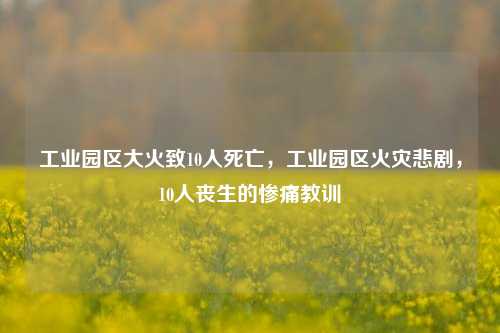 工业园区大火致10人死亡，工业园区火灾悲剧，10人丧生的惨痛教训
