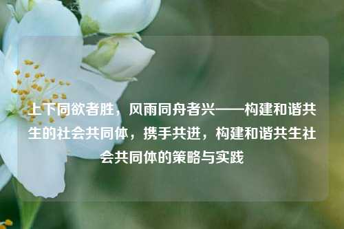 上下同欲者胜，风雨同舟者兴——构建和谐共生的社会共同体，携手共进，构建和谐共生社会共同体的策略与实践