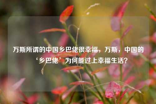 万斯所谓的中国乡巴佬很幸福，万斯，中国的‘乡巴佬’为何能过上幸福生活？