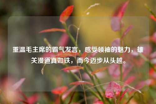 重温毛主席的霸气发言，感受领袖的魅力，雄关漫道真如铁，而今迈步从头越。