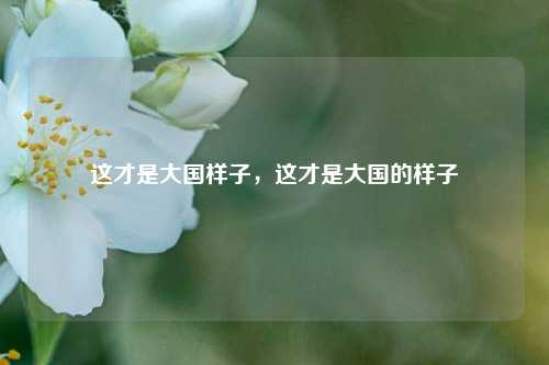 这才是大国样子，这才是大国的样子
