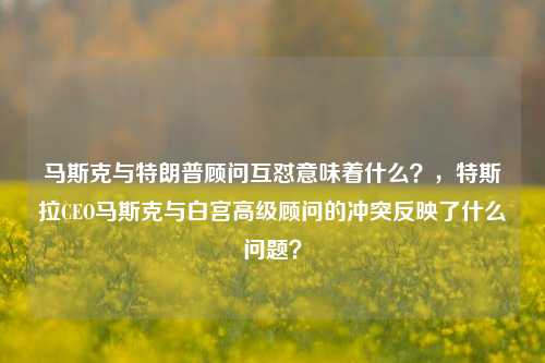 马斯克与特朗普顾问互怼意味着什么？，特斯拉CEO马斯克与白宫高级顾问的冲突反映了什么问题？