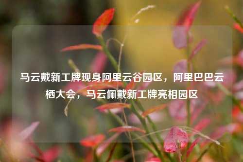 马云戴新工牌现身阿里云谷园区，阿里巴巴云栖大会，马云佩戴新工牌亮相园区