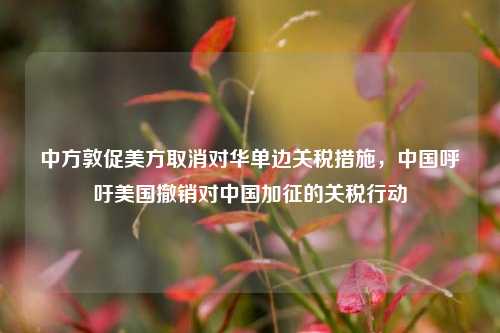 中方敦促美方取消对华单边关税措施，中国呼吁美国撤销对中国加征的关税行动