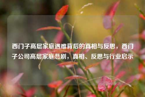 西门子高层家庭遇难背后的真相与反思，西门子公司高层家庭悲剧，真相、反思与行业启示