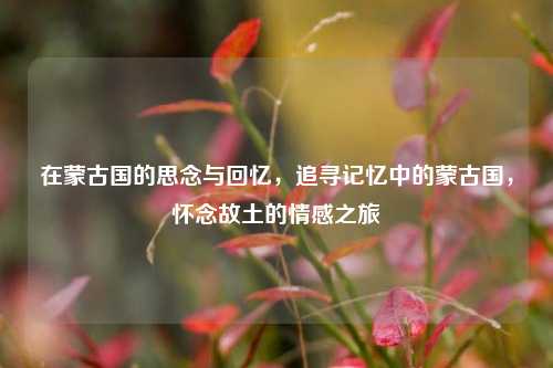 在蒙古国的思念与回忆，追寻记忆中的蒙古国，怀念故土的情感之旅