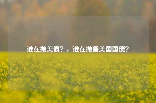 谁在抛美债？，谁在抛售美国国债？