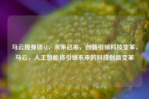 马云现身谈AI，未来已来，创新引领科技变革，马云，人工智能将引领未来的科技创新变革