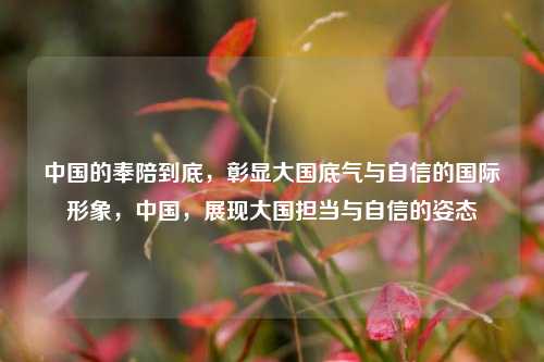 中国的奉陪到底，彰显大国底气与自信的国际形象，中国，展现大国担当与自信的姿态