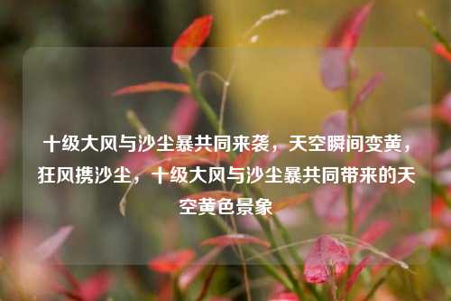十级大风与沙尘暴共同来袭，天空瞬间变黄，狂风携沙尘，十级大风与沙尘暴共同带来的天空黄色景象