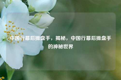 中国行幕后操盘手，揭秘，中国行幕后操盘手的神秘世界
