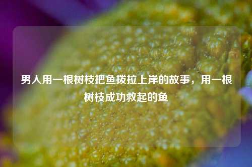 男人用一根树枝把鱼拨拉上岸的故事，用一根树枝成功救起的鱼