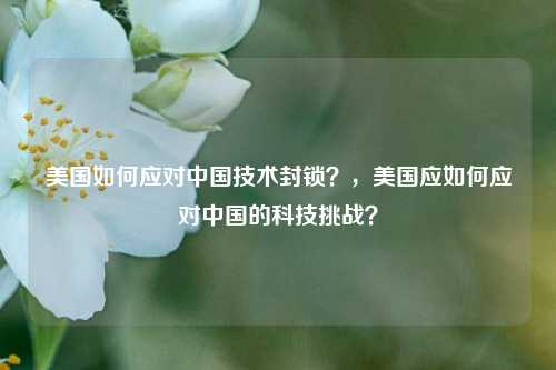 美国如何应对中国技术封锁？，美国应如何应对中国的科技挑战？