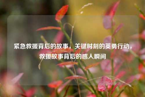 紧急救援背后的故事，关键时刻的英勇行动，救援故事背后的感人瞬间