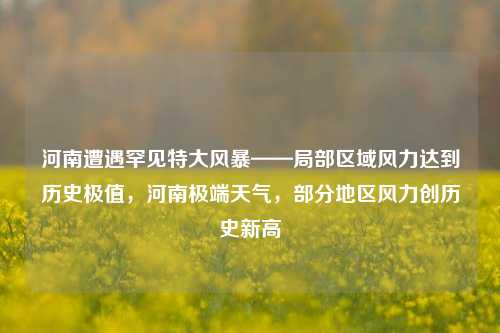 河南遭遇罕见特大风暴——局部区域风力达到历史极值，河南极端天气，部分地区风力创历史新高