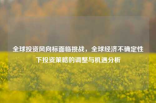 全球投资风向标面临挑战，全球经济不确定性下投资策略的调整与机遇分析