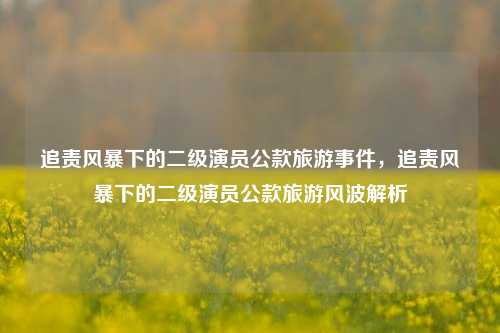 追责风暴下的二级演员公款旅游事件，追责风暴下的二级演员公款旅游风波解析