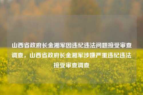 山西省政府长金湘军因违纪违法问题接受审查调查，山西省政府长金湘军涉嫌严重违纪违法接受审查调查