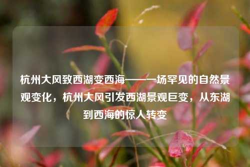 杭州大风致西湖变西海——一场罕见的自然景观变化，杭州大风引发西湖景观巨变，从东湖到西海的惊人转变