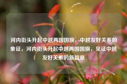 河内街头升起中越两国国旗，中越友好关系的象征，河内街头升起中越两国国旗，见证中越友好关系的新篇章