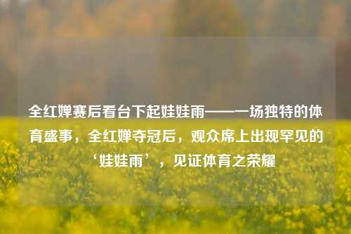 全红婵赛后看台下起娃娃雨——一场独特的体育盛事，全红婵夺冠后，观众席上出现罕见的‘娃娃雨’，见证体育之荣耀