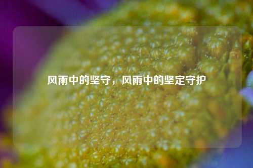 风雨中的坚守，风雨中的坚定守护
