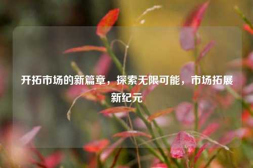 开拓市场的新篇章，探索无限可能，市场拓展新纪元