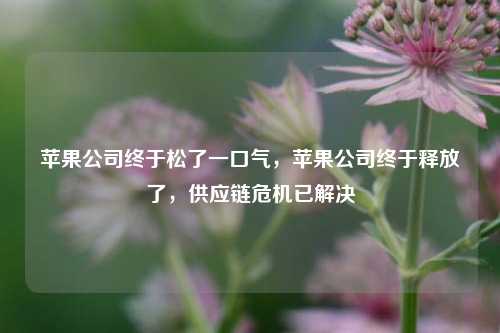 苹果公司终于松了一口气，苹果公司终于释放了，供应链危机已解决