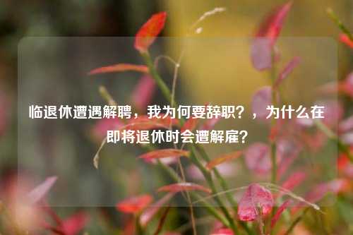 临退休遭遇解聘，我为何要辞职？，为什么在即将退休时会遭解雇？