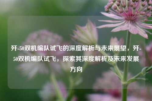 歼-50双机编队试飞的深度解析与未来展望，歼-50双机编队试飞，探索其深度解析及未来发展方向