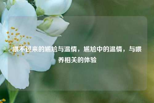 喂不过来的尴尬与温情，尴尬中的温情，与喂养相关的体验