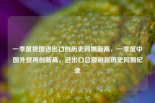 一季度我国进出口创历史同期新高，一季度中国外贸再创新高，进出口总额刷新历史同期纪录