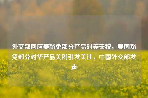 外交部回应美豁免部分产品对等关税，美国豁免部分对华产品关税引发关注，中国外交部发声