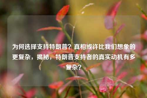 为何选择支持特朗普？真相或许比我们想象的更复杂，揭秘，特朗普支持者的真实动机有多复杂？