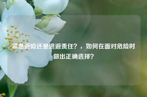 紧急避险还是逃避责任？，如何在面对危险时做出正确选择？