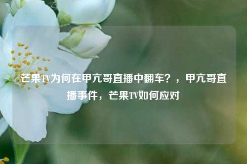 芒果TV为何在甲亢哥直播中翻车？，甲亢哥直播事件，芒果TV如何应对
