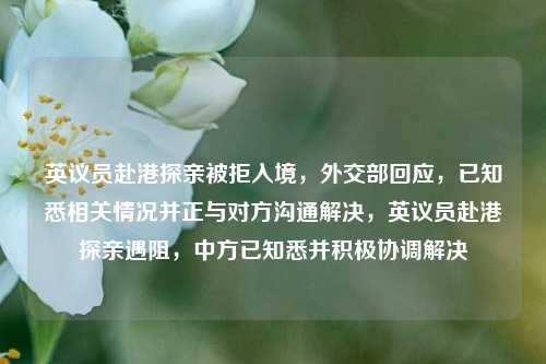英议员赴港探亲被拒入境，外交部回应，已知悉相关情况并正与对方沟通解决，英议员赴港探亲遇阻，中方已知悉并积极协调解决