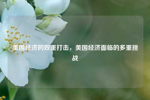 美国经济的双重打击，美国经济面临的多重挑战