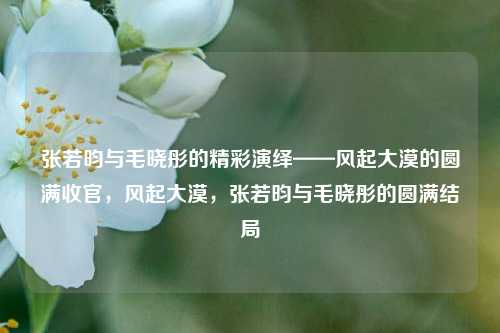 张若昀与毛晓彤的精彩演绎——风起大漠的圆满收官，风起大漠，张若昀与毛晓彤的圆满结局