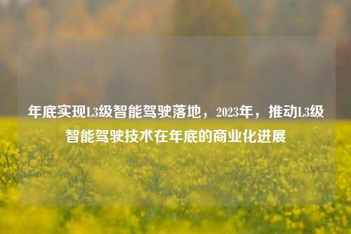 年底实现L3级智能驾驶落地，2023年，推动L3级智能驾驶技术在年底的商业化进展